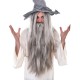 Wizard Wig and Beard Grey BUY
